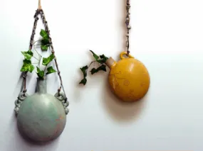 Planter Bottle