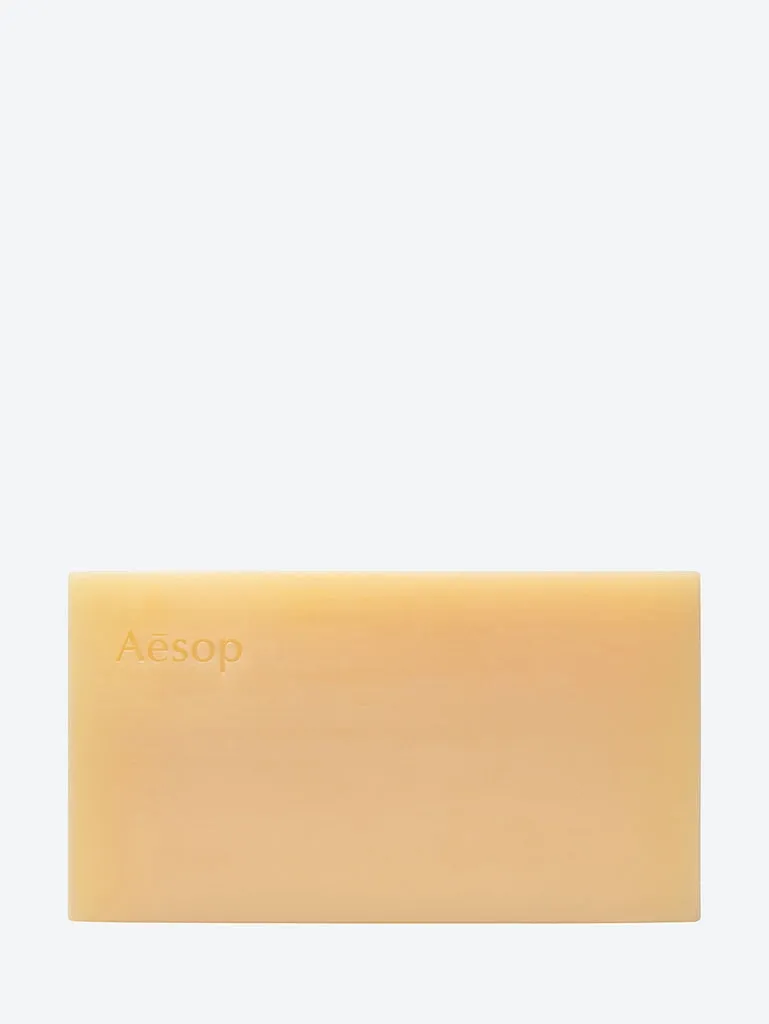 Refresh body cleansing slab